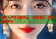 成年人午夜视频平台：无限精彩，随时随地观看