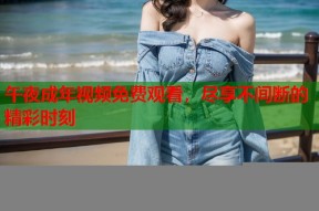 午夜成年视频免费观看，尽享不间断的精彩时刻