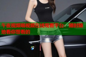 午夜视频啪视频在线观看平台：随时随地看你想看的