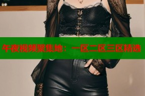 午夜视频聚集地：一区二区三区精选