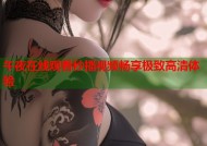 午夜在线观看秒播视频畅享极致高清体验