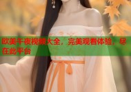 欧美午夜视频大全，完美观看体验，尽在此平台
