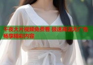 午夜大片视频免费看 极速高清无广告畅享精彩内容