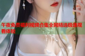 午夜免费福利视频合集全网精选极速观看体验