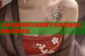 午夜情爱视频在线观看平台高清流畅无限制观看体验
