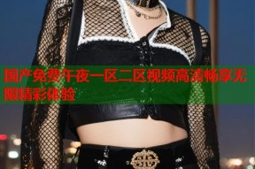 国产免费午夜一区二区视频高清畅享无限精彩体验
