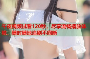 午夜视频试看120秒，尽享流畅播放体验，随时随地追剧不间断