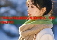 日韩午夜精品视频在线播放平台，尽享精选内容