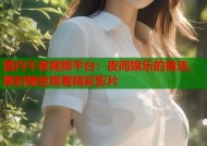 国内午夜视频平台：夜间娱乐的首选，随时随地观看精彩影片