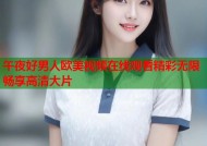 午夜好男人欧美视频在线观看精彩无限畅享高清大片